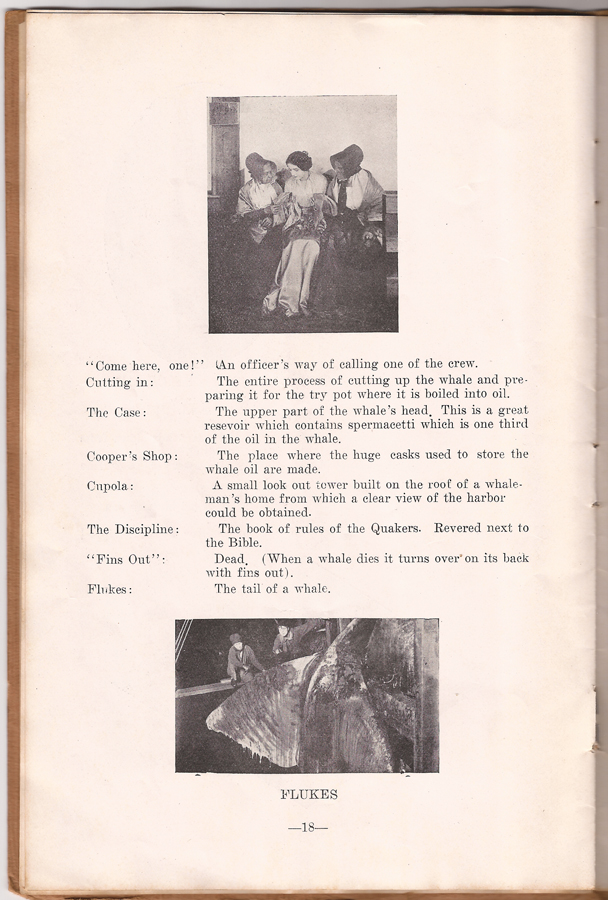Down To The Sea In Ships - Programme booklet - Page 18 - WhalingCity.net