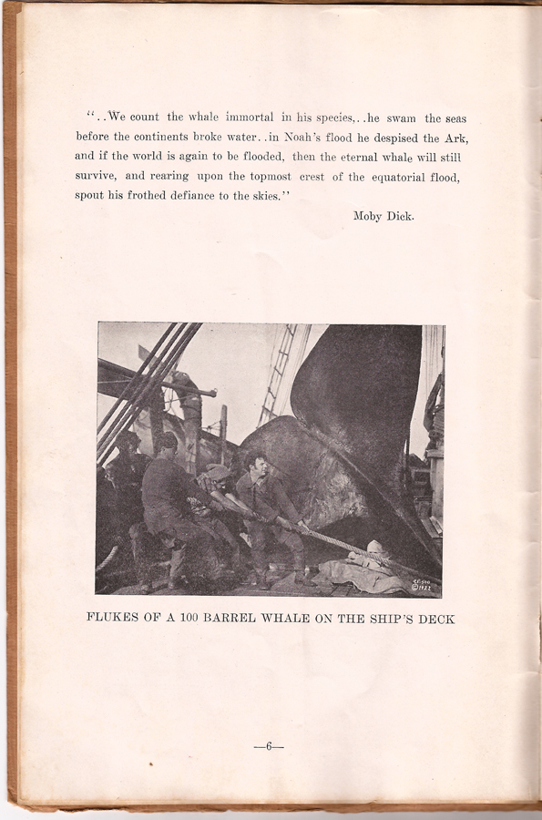 Down To The Sea In Ships - Programme booklet - Page 6 - WhalingCity.net